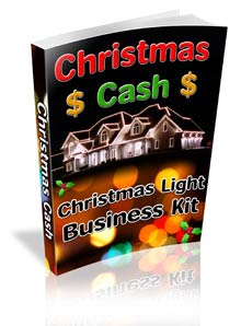 How To Start A Profitable Christmas Light Business