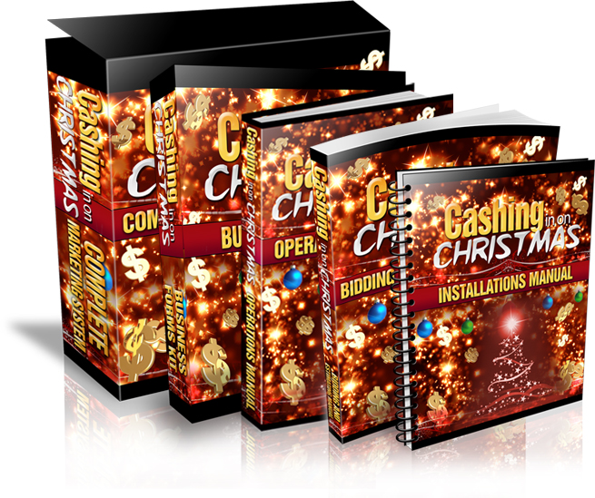 Cashing in on Christmas by Starting a Christmas Light Business