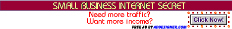 Small Business Internet Secrets Review