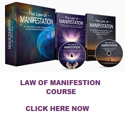 How To Make The Law Of Attraction Work For You